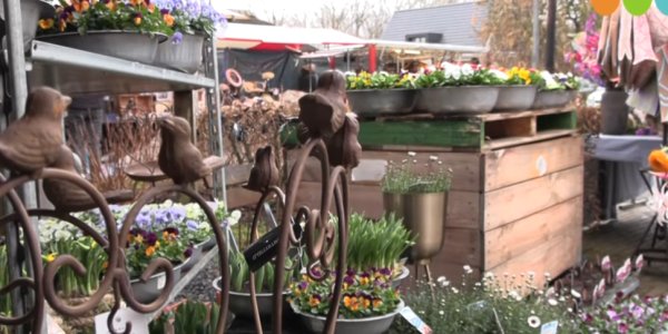 Foto: VIDEO: Eerste Voorjaarsfestival bij Fruittuin Verbeek